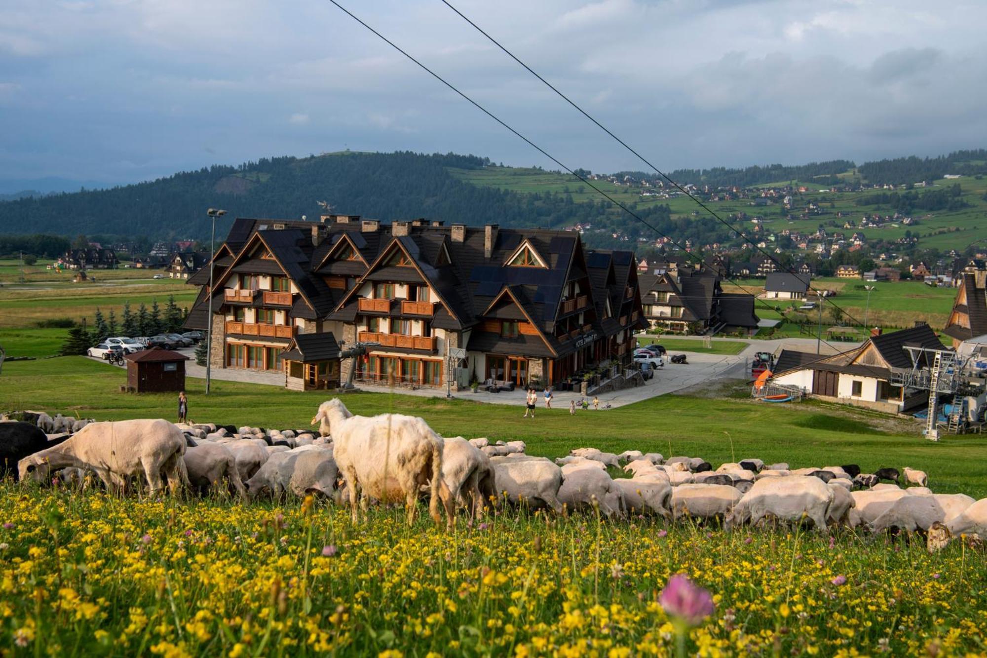 Zawrat - Blisko Natury Hotel 3*